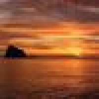 Sam S. image